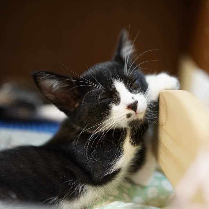 2515db22 b9cb 48fb ad54 1fc3229ce8b0 1568676191713