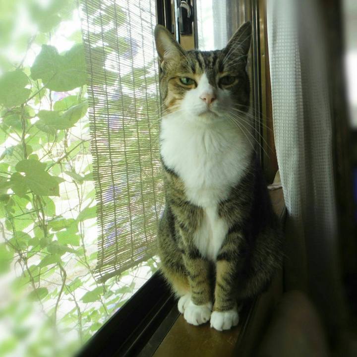 2515de1e 0aec 46c9 b54e c76914469693 1563420705711