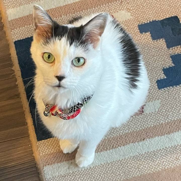 2515e5e7 86ae 4aef b076 1918d15632c0 1729825832461