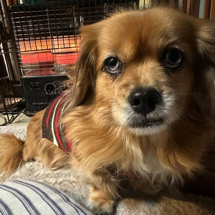 2515ee25 0e7c 4e28 837d cd1b579217e5 1706131296187