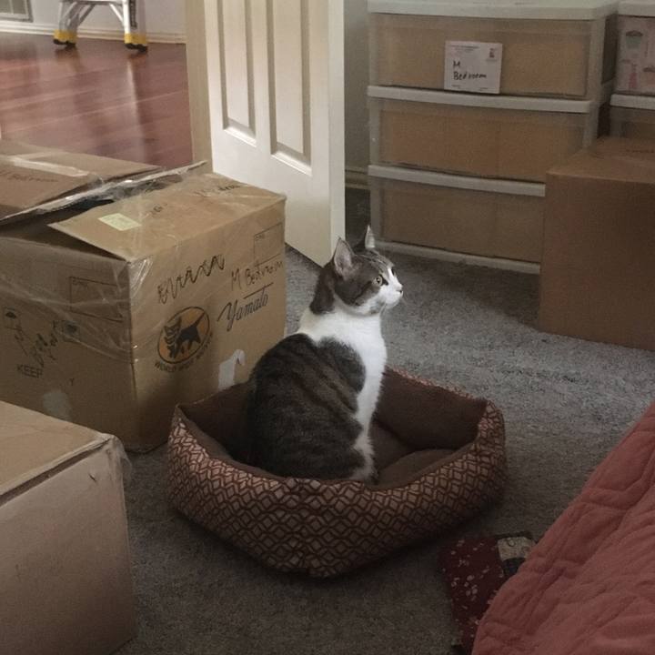 2515fe58 ba38 49d1 8d34 f8ab8697794b 1645496855873