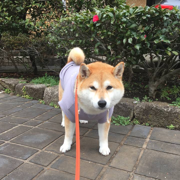 2516350c e241 493a 876c b411ed4cb2f1 1551851256296