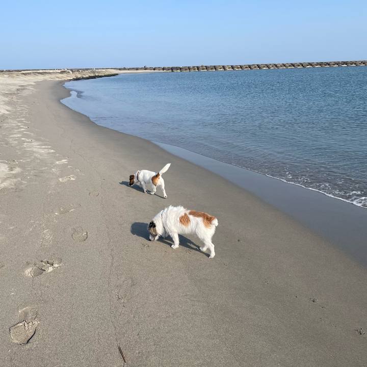 25164014 9b8a 4189 ab78 7b3e25dd23a5 1649722337015