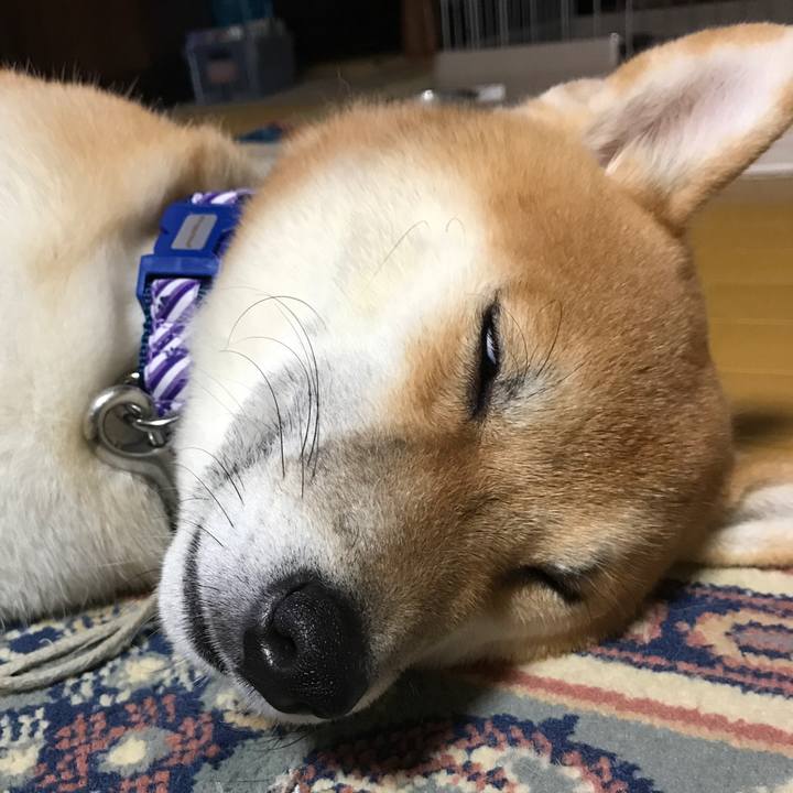 25167b16 313a 4a39 892a 52baccb85c85 1545914795218