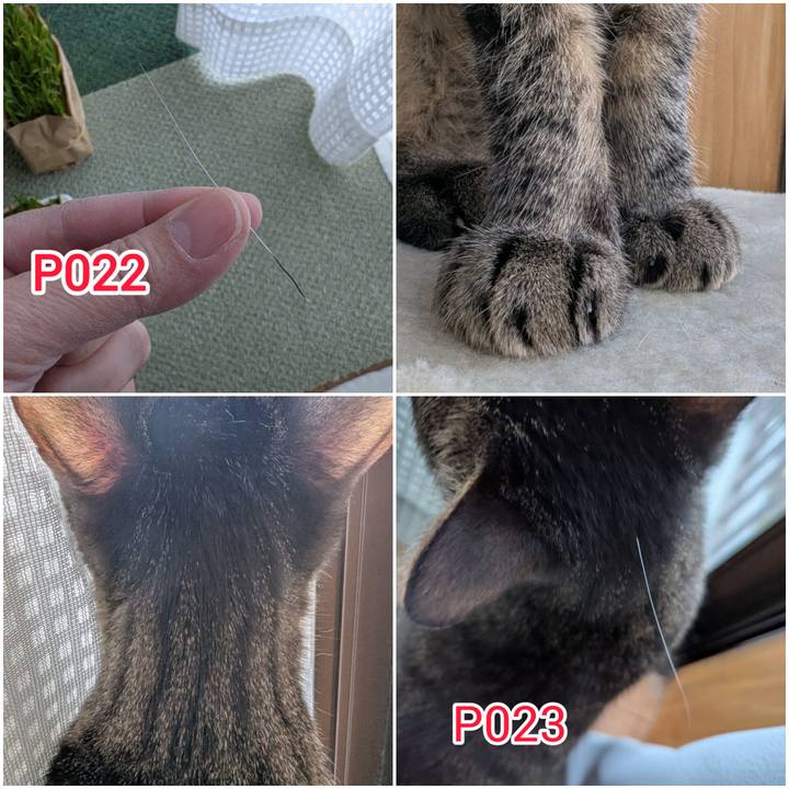 2516a13a 5d9c 4798 b2f4 090c921dcf71 1740891805238