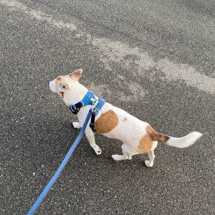 2516a588 9a0e 44b8 ba68 7536e15a99b7 1657059077534