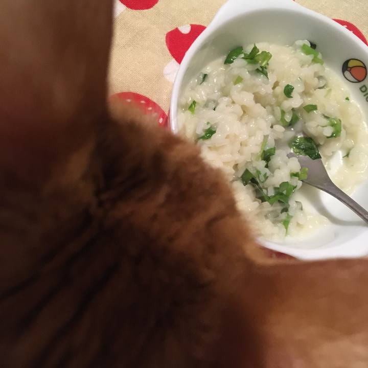 2516ea70 2c33 4933 9dd8 5f21b938f7a9 1578393780453