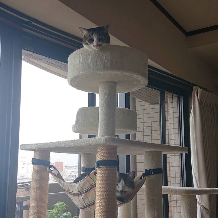 25170bb5 9ce2 4cf1 9557 3e3fc12efc0e 1620864988212