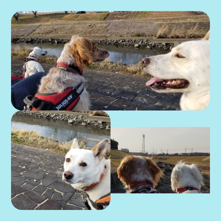 25172731 b01e 4da7 8b2b 41e4a8ba4da4 1676195595940