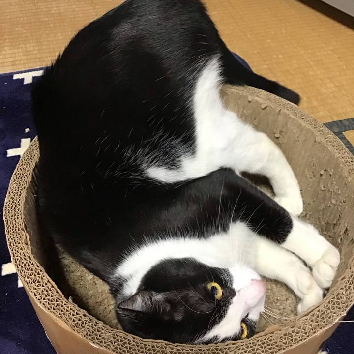 25175078 e352 4f65 8c20 c5ff5583c2d7 1735795399319