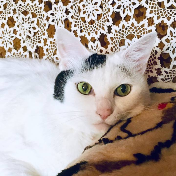 25175b54 4378 41c7 a480 27932ab7b75e 1563508000932