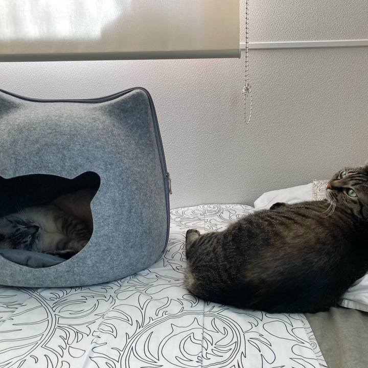 2517981d 7767 4161 95e8 ea0ecf261e88 1653377107718