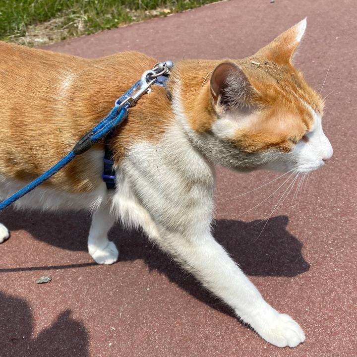 2517b6cc e030 478b b0b7 9556b854cbb7 1588152823059