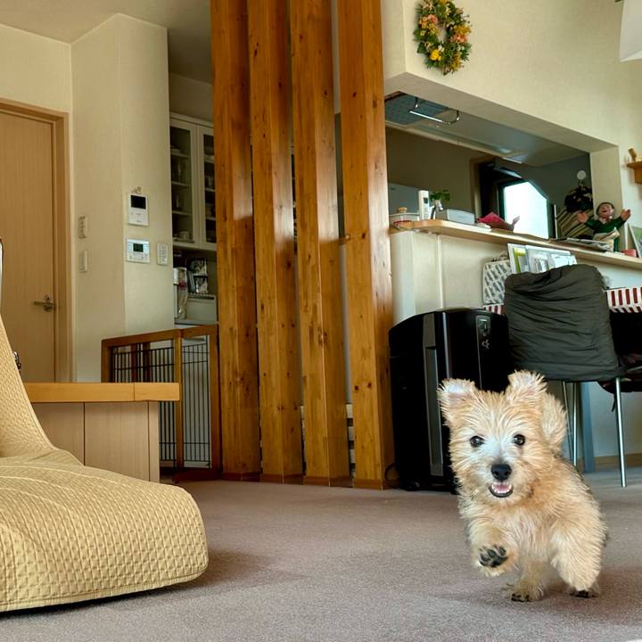 2517eb9e 8bf3 4521 927f 383370279d80 1702732705194