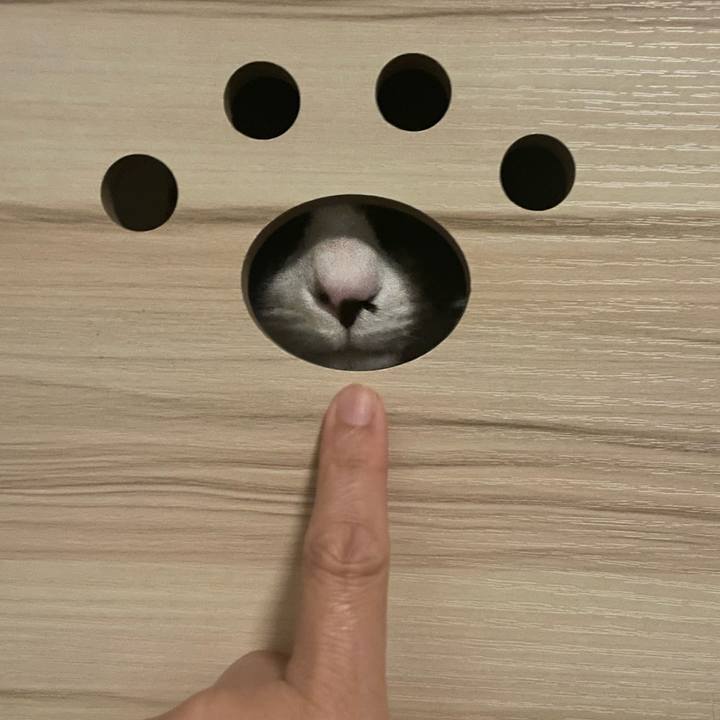 2517f233 5d09 4319 b3e5 c26571728830 1707477088335