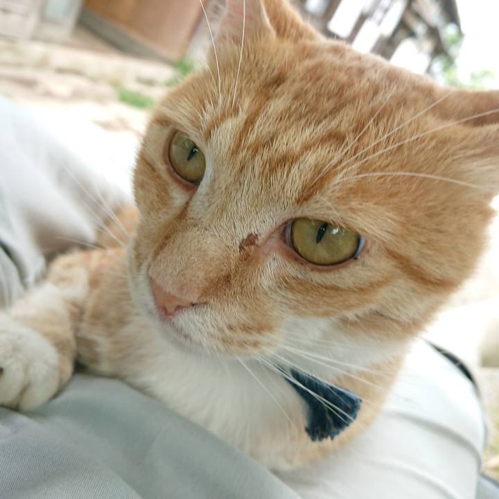 25184453 c485 43b7 a648 502deabfc730 1562401520098