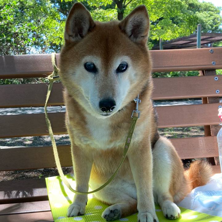 2518552e fc51 46f8 864c b36531a5c376 1686119121495