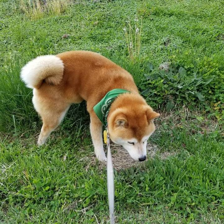 25185591 97a6 4c4a 8dae d70ee1d686cc 1557990415240