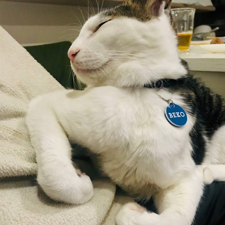 2518581d a641 4dba bfa0 ad5f69c130a2 1560489787358