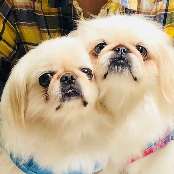 25186511 0498 46d2 8451 d7bf3cdb2da3 1569200347524