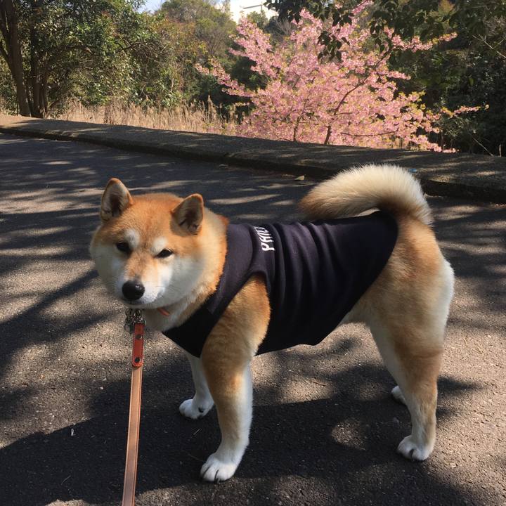 2518757f 740b 401c 8e42 fb5cd04540e8 1552626162493