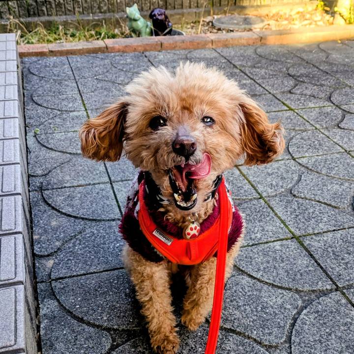 2518a18f 2d52 418b 9a19 8fcba7720abe 1773010483980