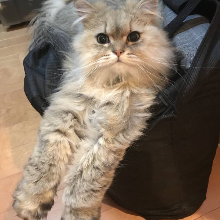 2518db97 1cb5 4220 8aa8 fedf84ed071b 1620288678702