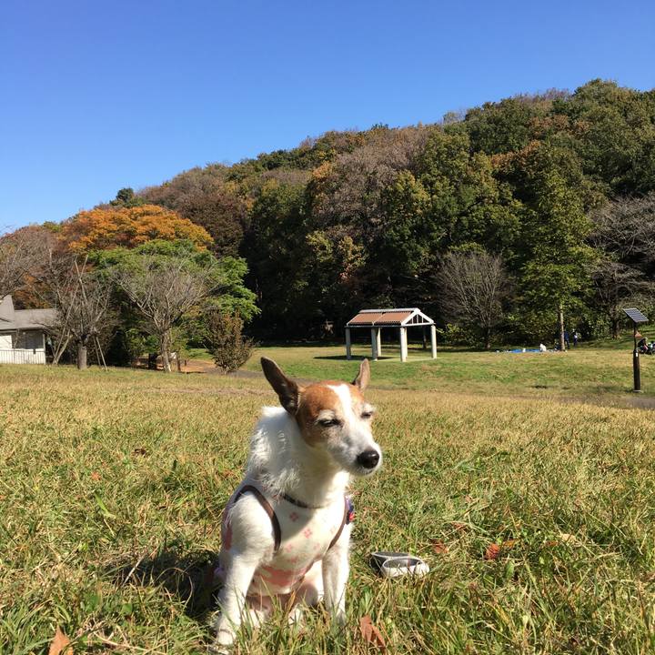 2519458e a5a0 4570 ad5e 1fca11436ce6 1636414332823