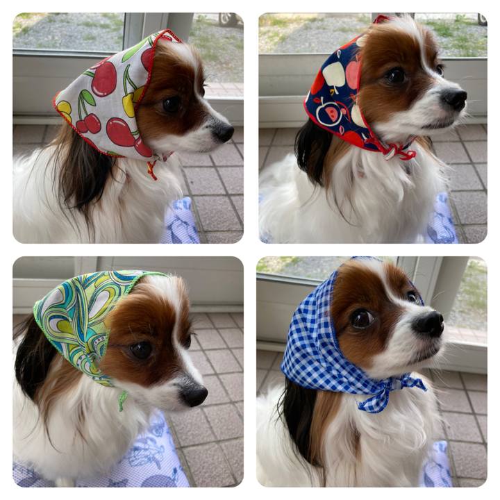 2519a4b8 20a2 4733 bc23 e322cc96b211 1652342927066