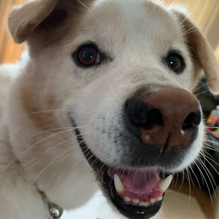 2519aad4 bb0a 4b8c 926a 3e58a400e0c6 1658020966962