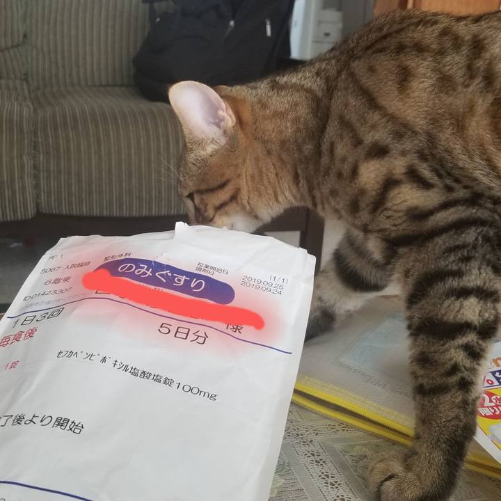 2519b4ab 22b0 45db ad6b 33e0b6823cec 1569594286877