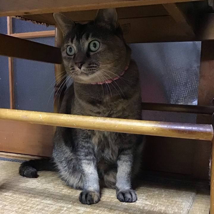 2519c4dc 2d1d 4d07 a63b a667f6a84822 1731915605732