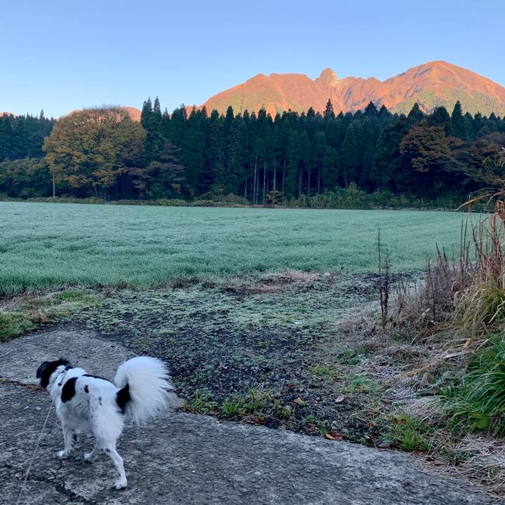 2519fb50 ee4f 4433 b901 27f479f270d0 1605253722834