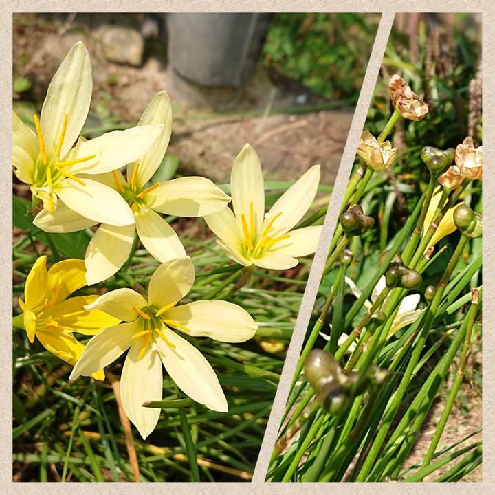 251a1832 1d96 4760 b1e8 55f818daa020 1601791171163