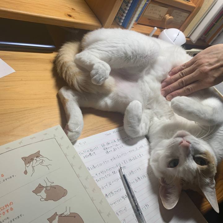 251a36ca 7fe0 47e5 b2d7 13a2eb68b37b 1646341175460