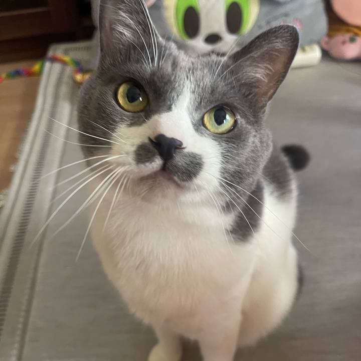 251a3b5e 9ae3 4d31 9b82 6f3db27d44aa 1755399564591