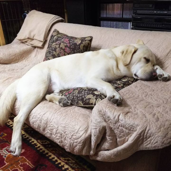 251a409e ff7c 4e0c 817c adce48e6ec36 1558182587851