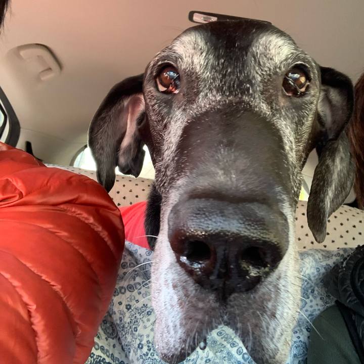 251a414b 715b 491f 8cc4 4bf4fdf6db5a 1607824492337