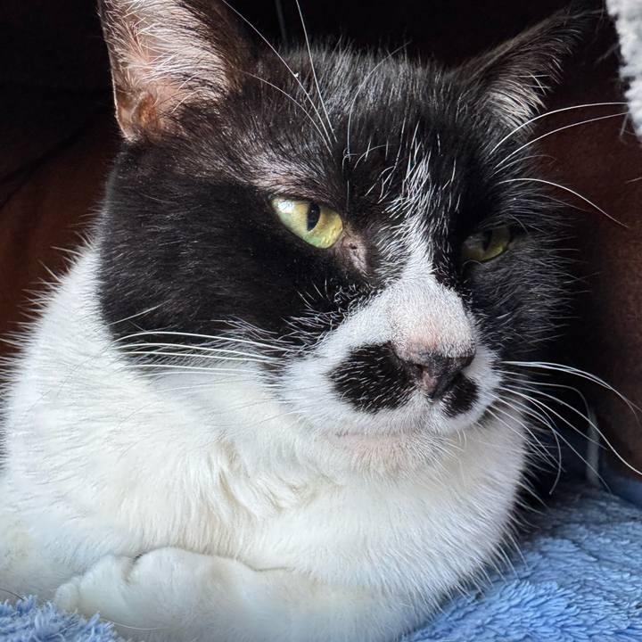 251a55be 8c18 42e2 be00 fa9fe05c20b6 1766897122828