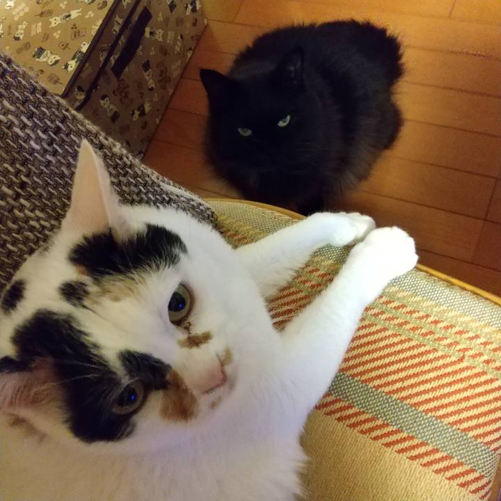 251a97cd d784 4ebe afac b30f6b7160d7 1609242518143