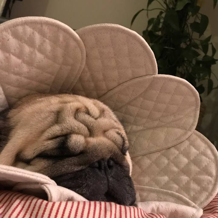 251abeb1 0a49 47f3 b122 9bf145033e26 1615906803911