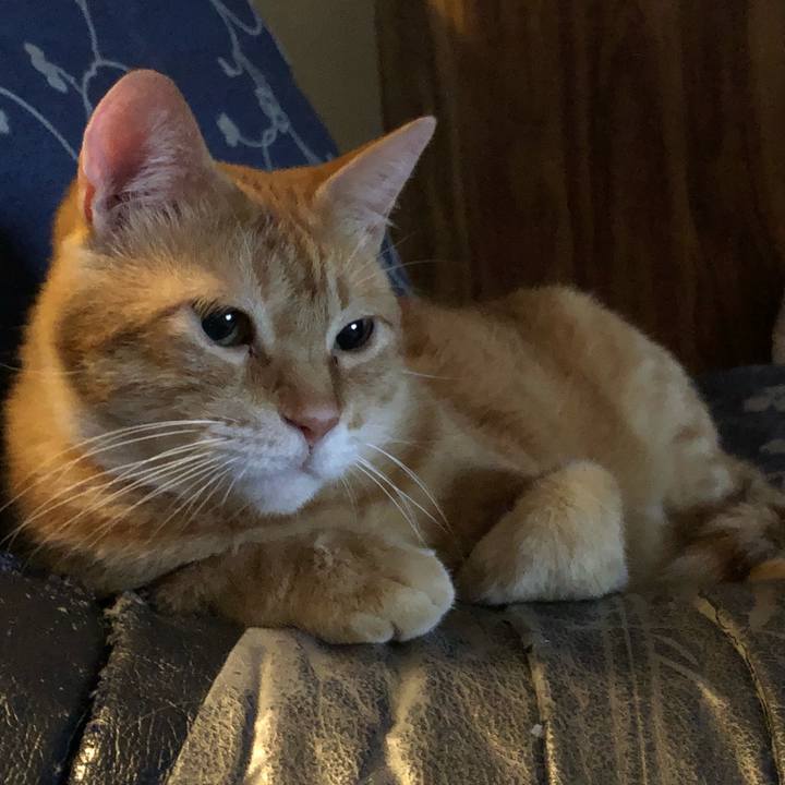 251aed53 09aa 4826 a31f 8d9aeba08b1e 1600953125256