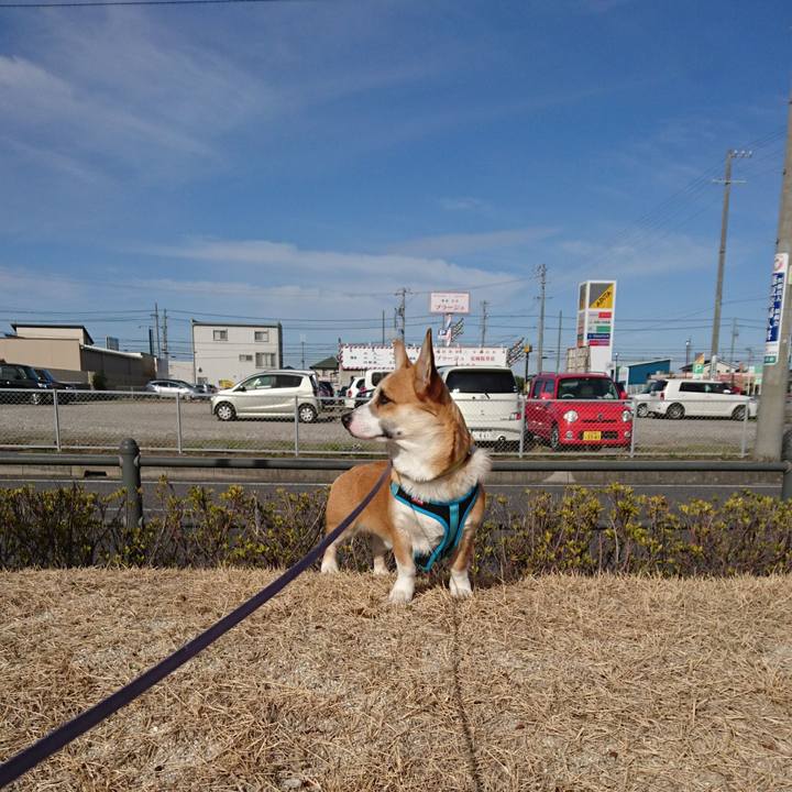 251affec d3ea 4e6f af86 3a9fd91dc9d4 1583897165418