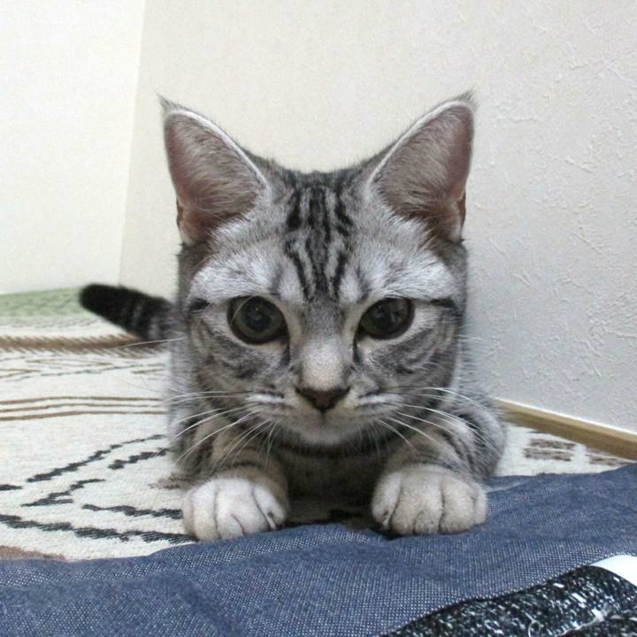 251b0019 6797 452a a7b9 58e73c43247e 1544876474066