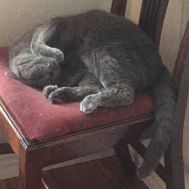 251b15c1 f7a6 4e40 95d6 b37902e1a5df 1655257007881