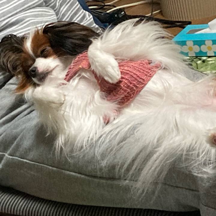 251b2386 bdcb 44cb a1cd c296d00369e8 1638188906906