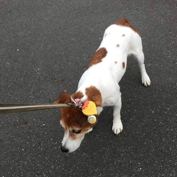 251b27d2 a8ea 4c75 95be 8919ede4ce03 1510232516657