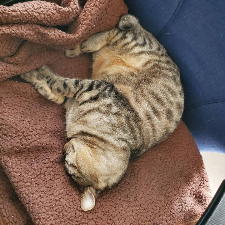 251b2e66 4311 4d16 87a2 6fdbe16f5576 1693829647380