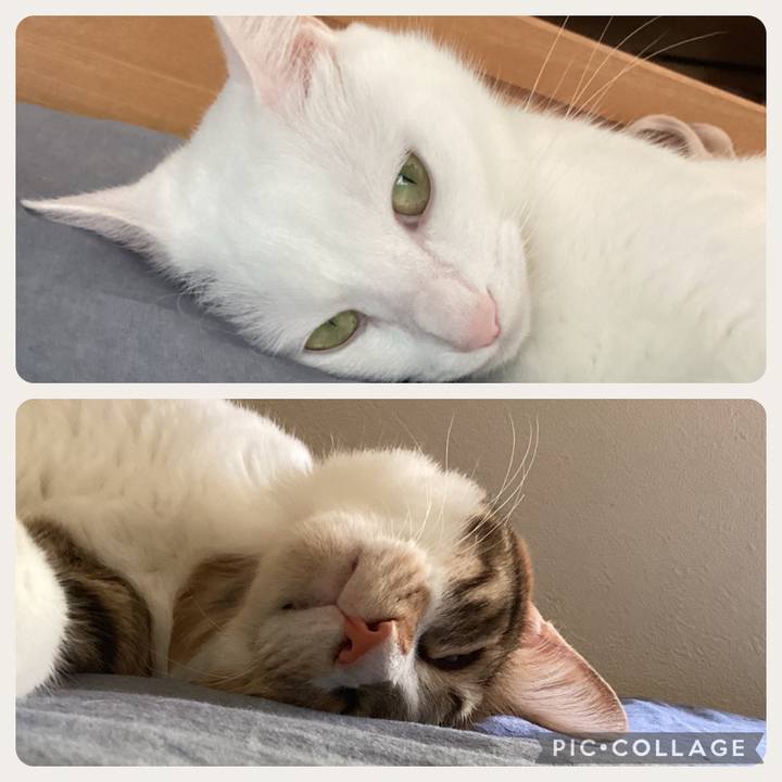 251b3a09 43b5 4fde 9b76 f15fc73aca0f 1692095285801