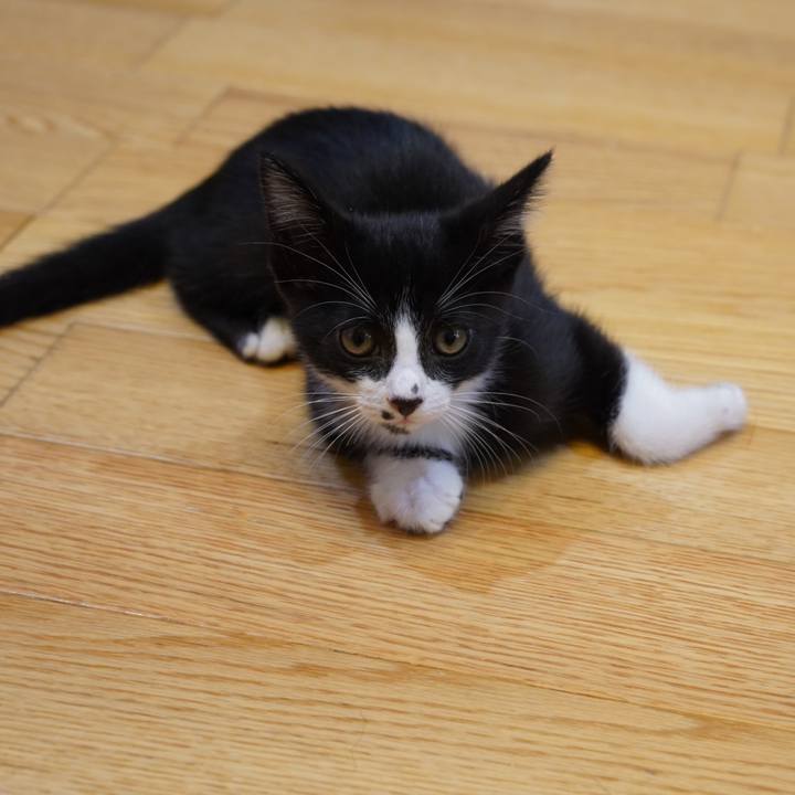 251ba672 8658 450a 8a45 0ae458917478 1568085701898